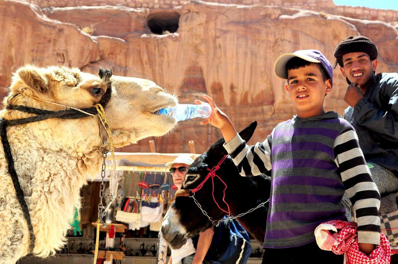 Happy Bedouin House Petra Bed & Breakfast Al Hayy Екстериор снимка
